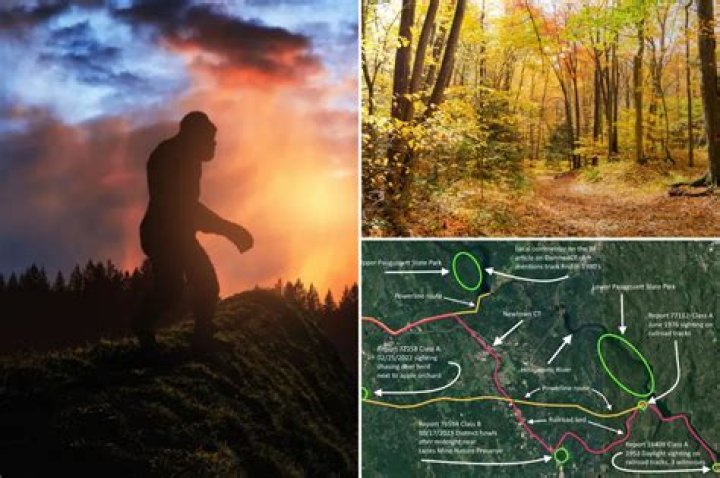 Behind The Sighting And What It Means