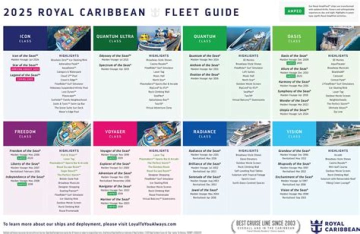 Can I iron my clothes on Royal Caribbean?