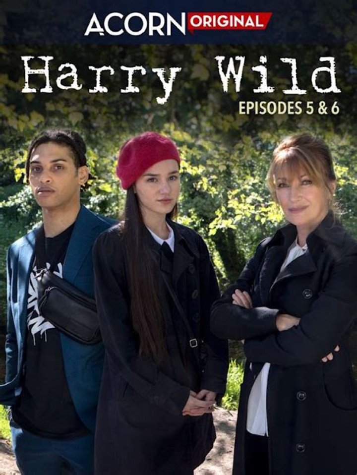 Harry Wild: Who Is Rose O’Neill? Age Wikipedia And More Details To Know