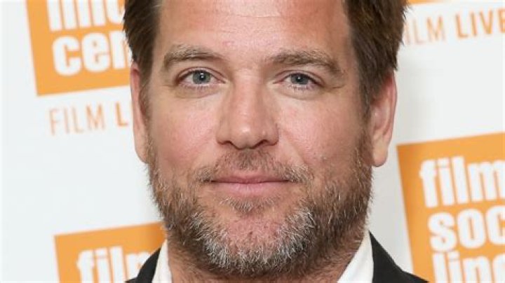 How Much Is NCIS Star Michael Weatherly Really Worth? |